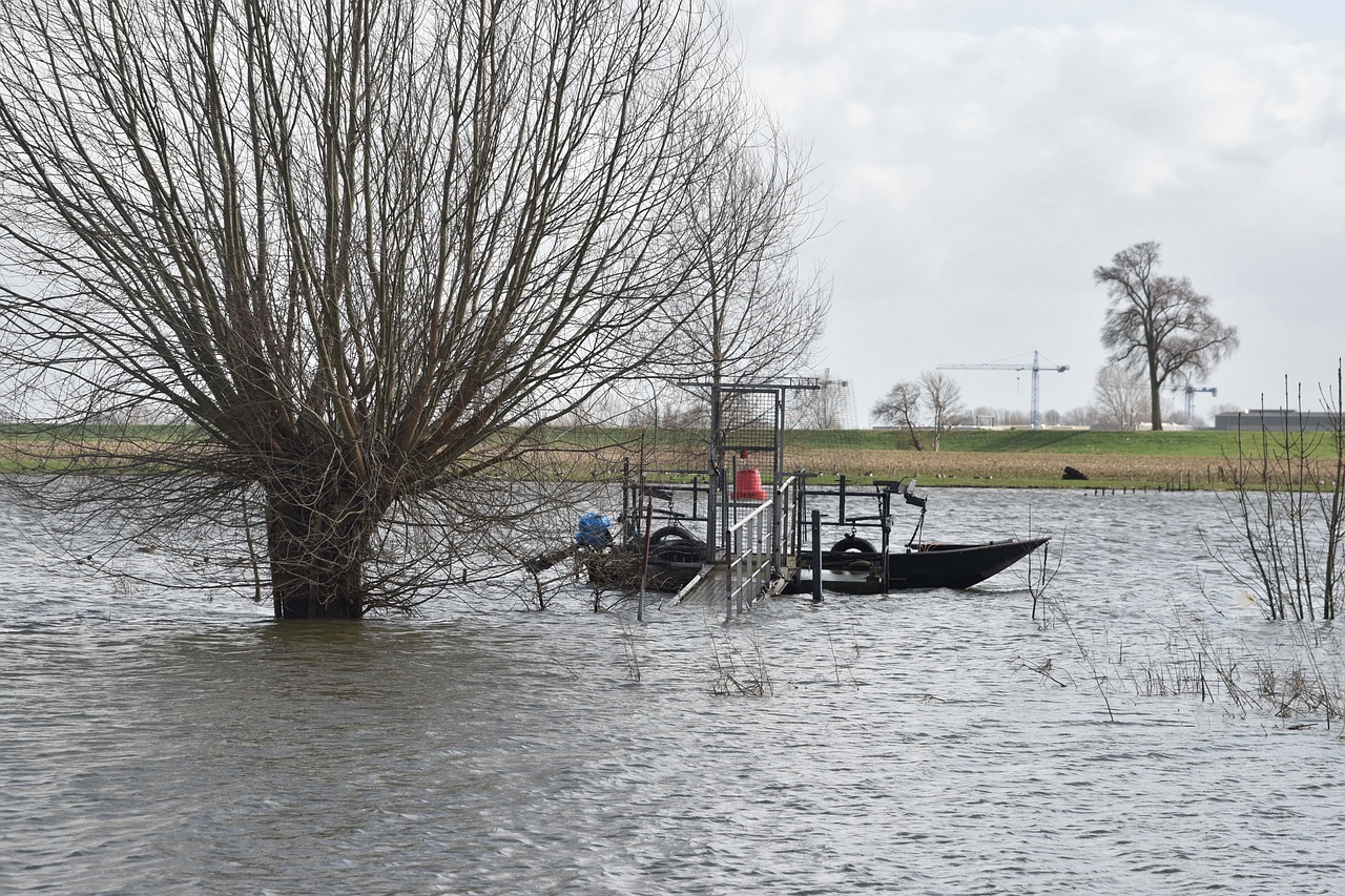 Disaster Preparedness - How to Make Your Home Disaster-Proof